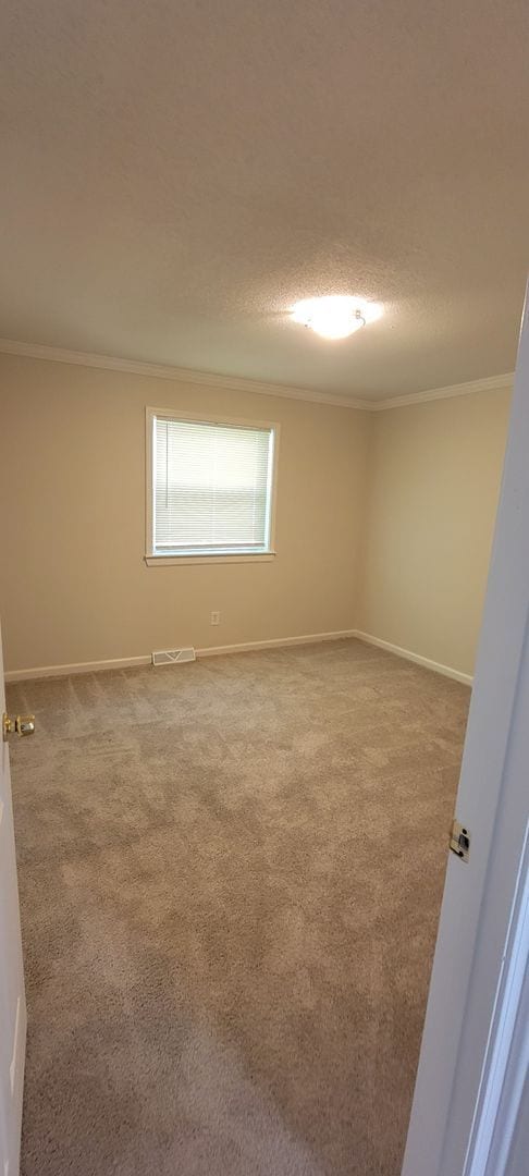 Photo - 3 bedroom 1 bath with fenced in Yard!