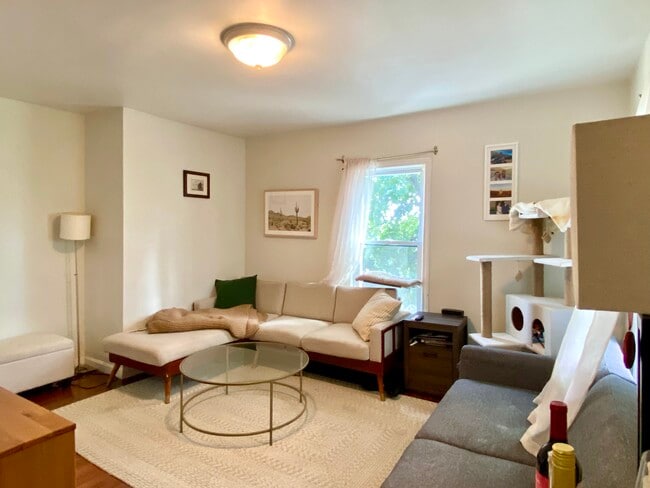 Living Room - 40 Clark St Unit 3