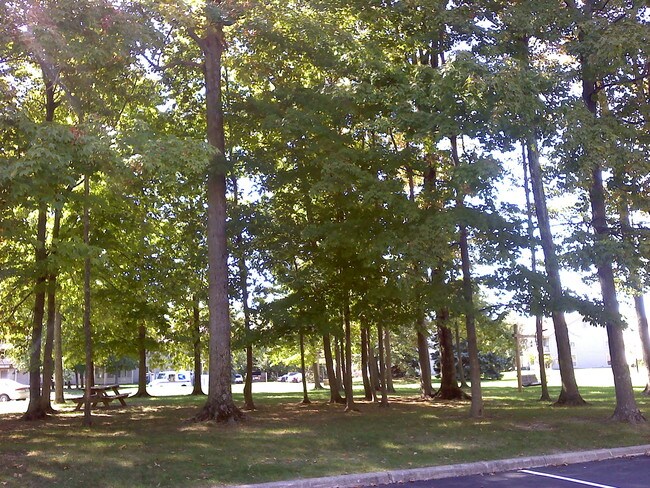 Picnic Area w/Grills