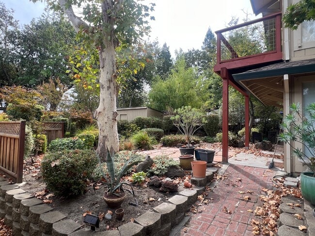 356 Adams Way