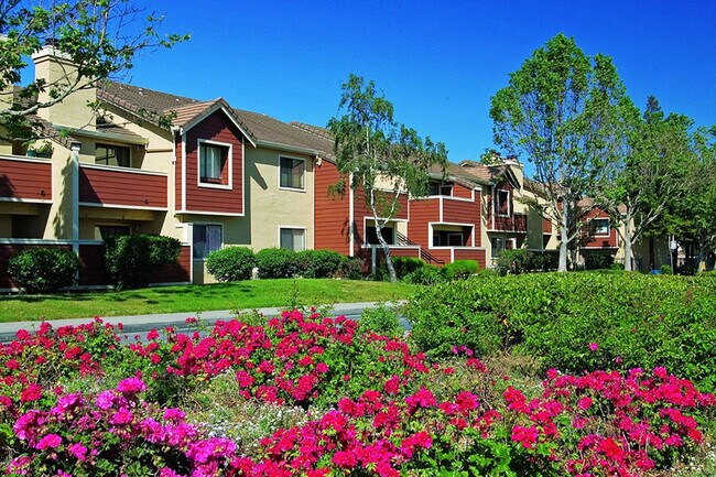 Hermosos jardines - Belmont Apartment Homes