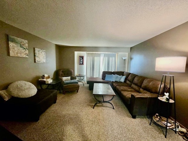 Spacious Living Room - 509 N 1st St Unit #202