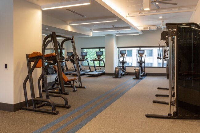 Gimnasio de fuerza y cardio