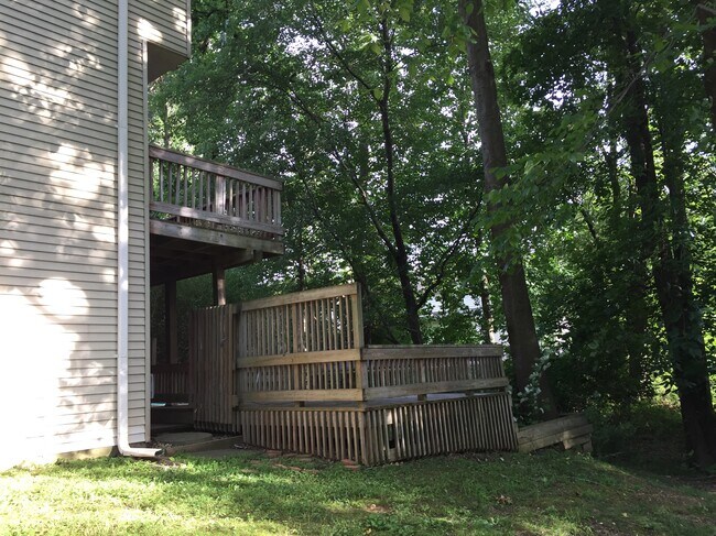 Photo - 13814 Grey Colt Dr