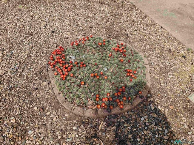 Photo - 1600 Arcineiga Dr