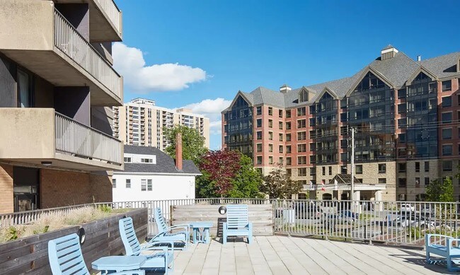 Photo - Spring Garden