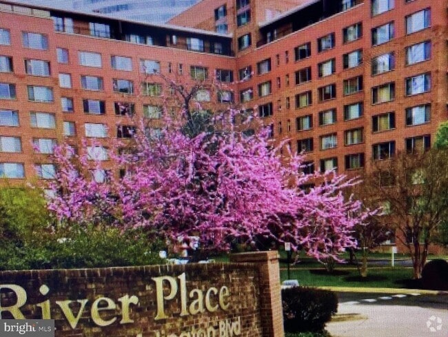 Building Photo - 1021 Arlington Blvd Unit 1014 Rental