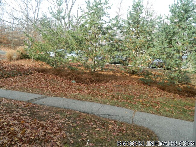Photo - 499 VFW Parkway Unidad 499
