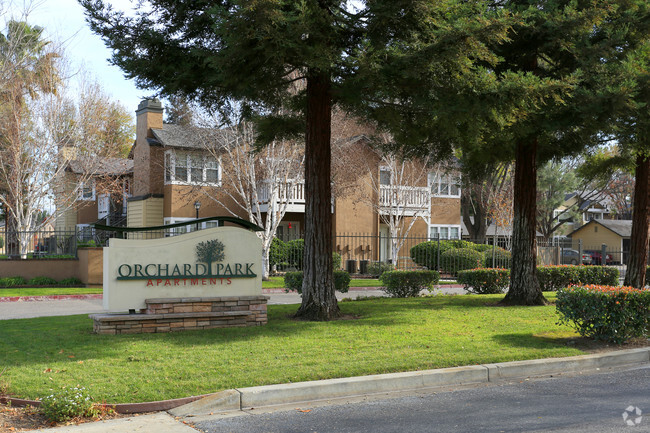 Orchard Park Apartments - Orchard Park Apartments