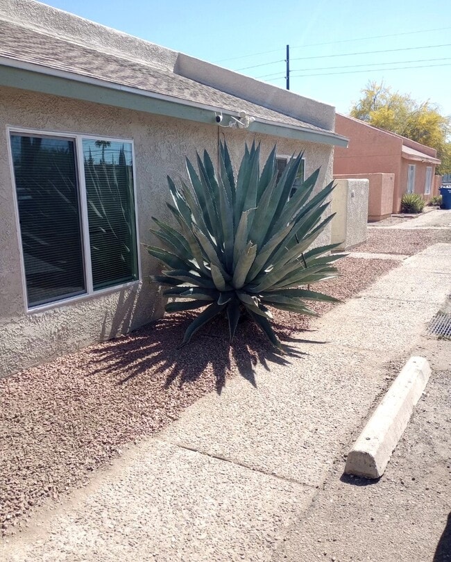 Building Photo - 3455 E Pima St