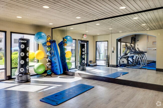 Fitness Center - Mosaic