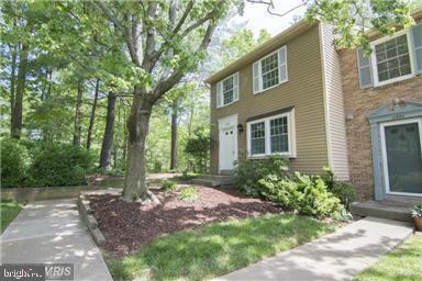 11556 Ivy Bush Ct