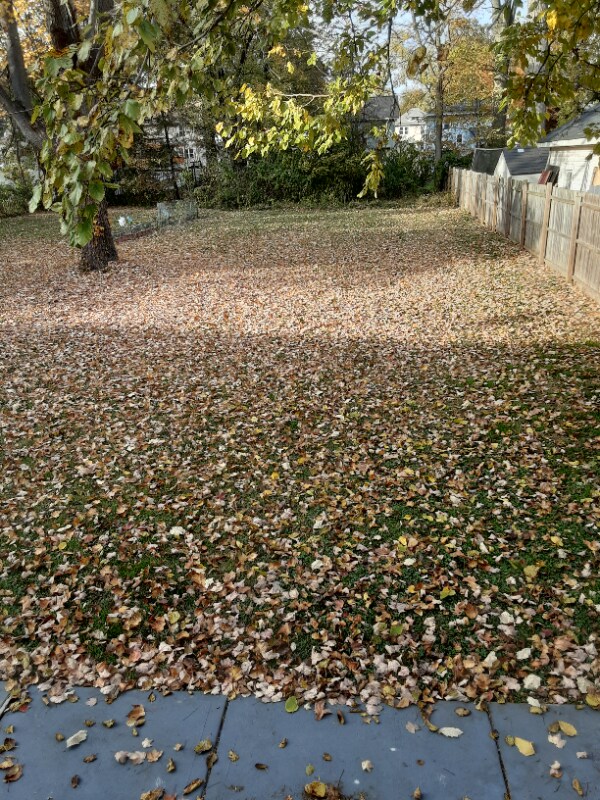 Photo - 124 W 8th Ave