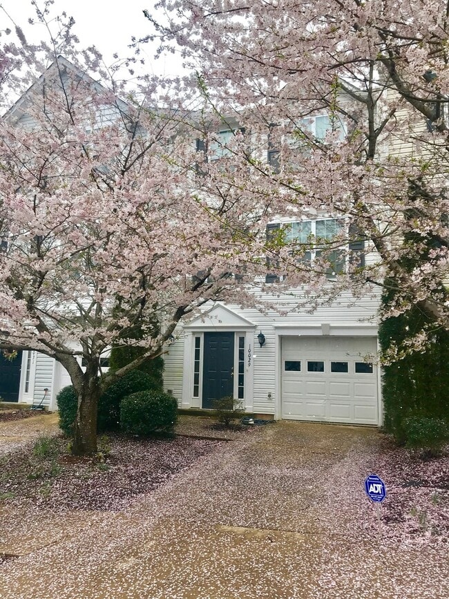Gorgeous Spotsylvania Townhouse - Gorgeous Spotsylvania Townhouse