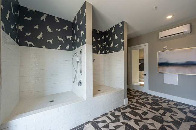 Pet Spa with Grooming Station