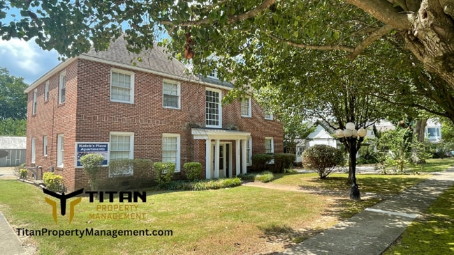 Charming Downtown Apartment - Charming Downtown Apartment Unit 408 W Sevier St. Apt 2