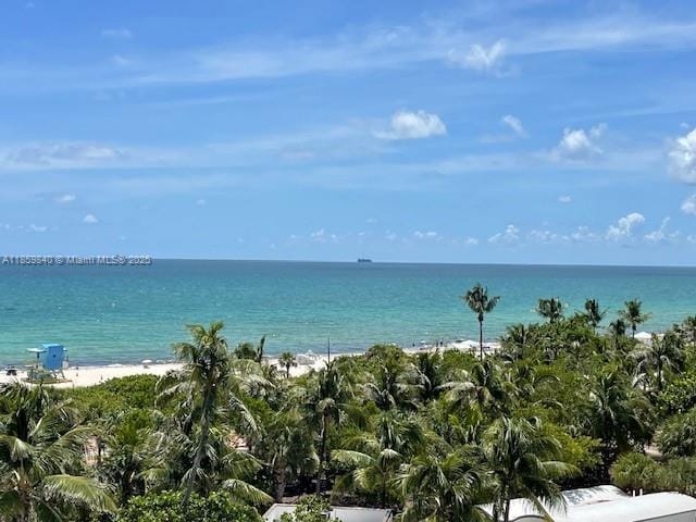 Building Photo - 5313 Collins Ave Unit 710 Rental