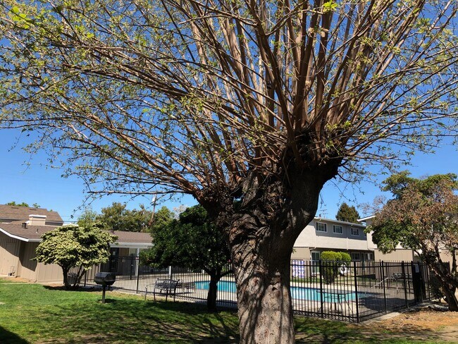 Photo - Del Prado I Apartments