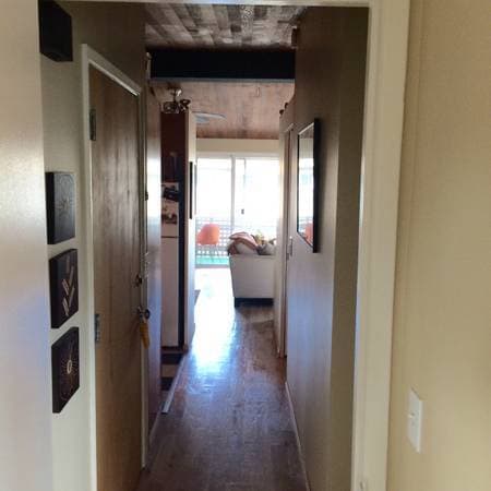 Photo - Taylor Highland