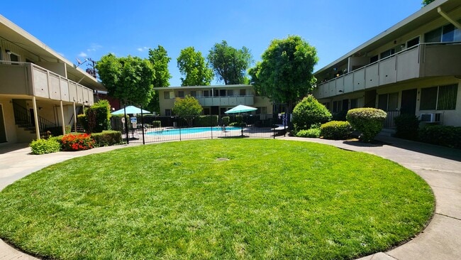 Palms Apartments