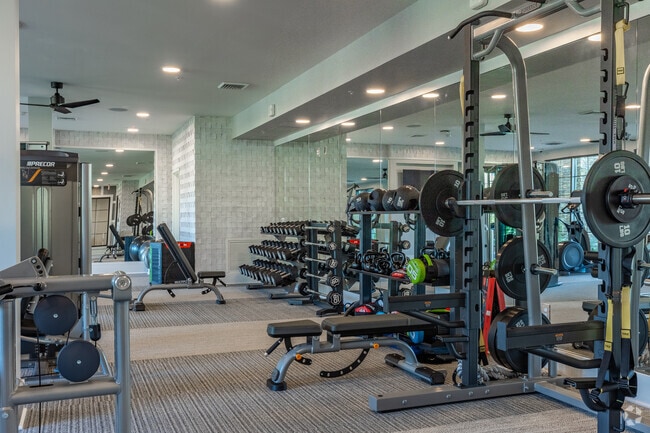 Professional-grade fitness center