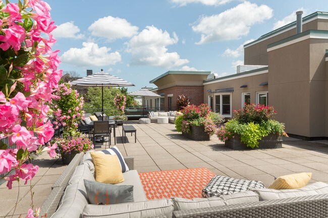 Photo - Marion Square