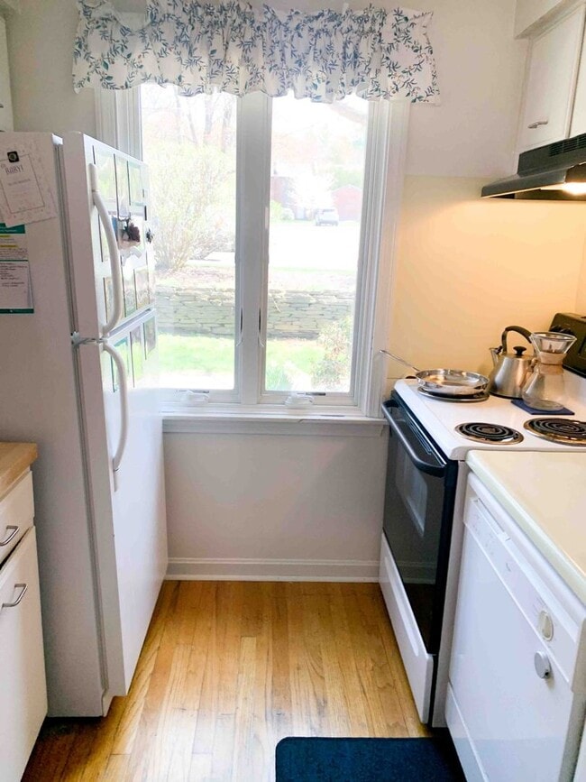 Photo - 2 Bed / 1 Bath Apartment – Webster Court, Amherst Available 6/8