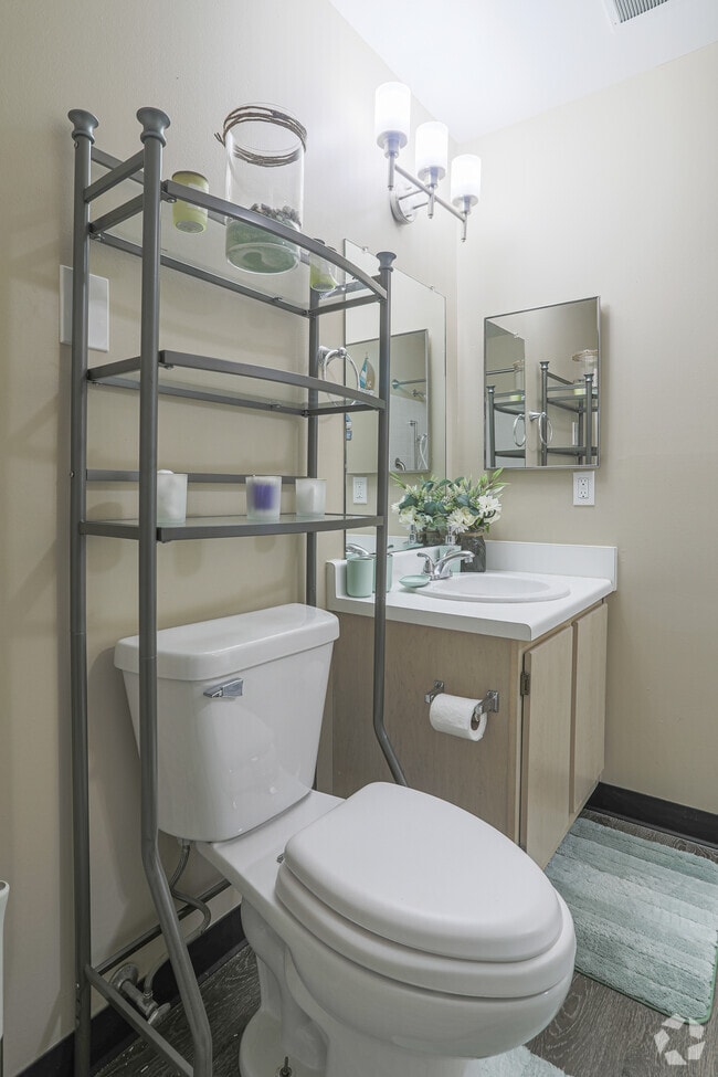1BR, 1BA - 570SF - Bathroom