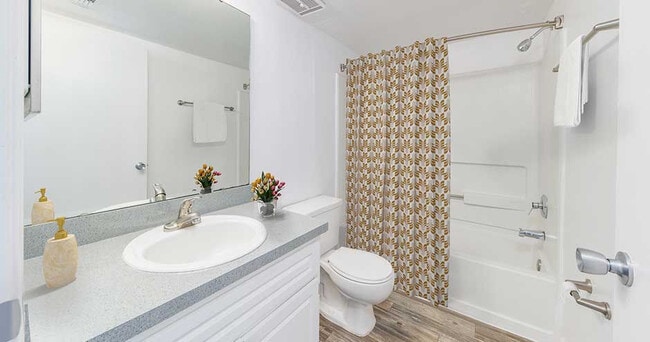 Photo - Alexander Pointe