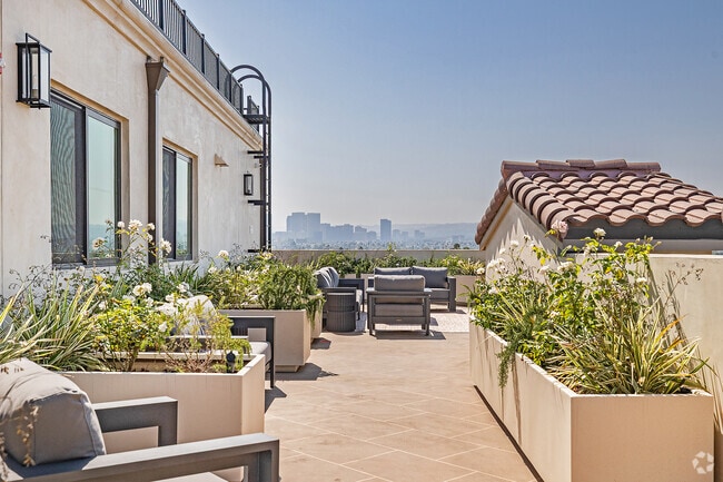 Rooftop Deck