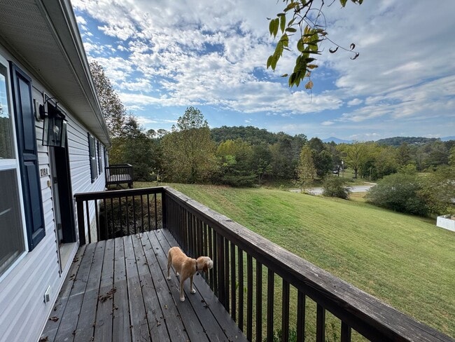 Building Photo - Candler - 2 Bedroom Available Now Rental
