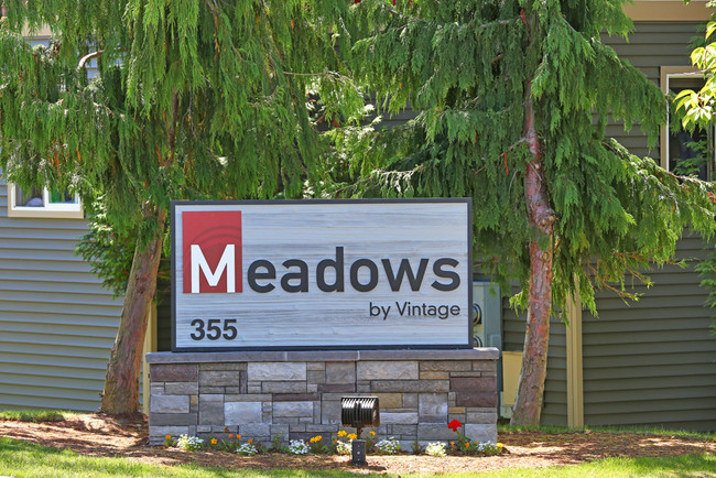 THE MEADOWS BY VINTAGE - THE MEADOWS BY VINTAGE Apartments