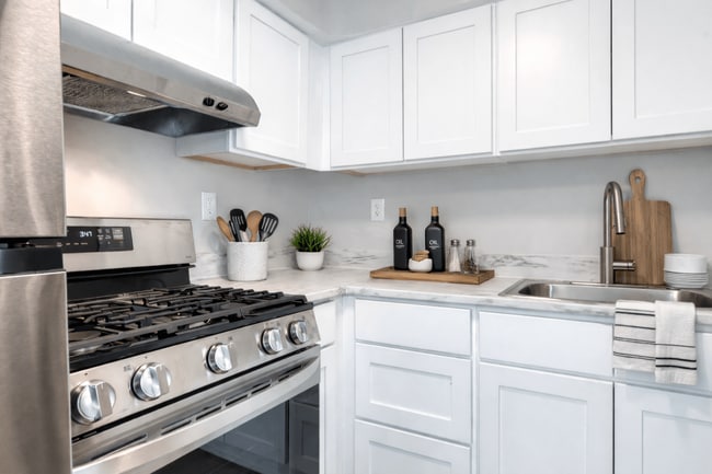Dishwasher - Renovated Platinum Townhomes