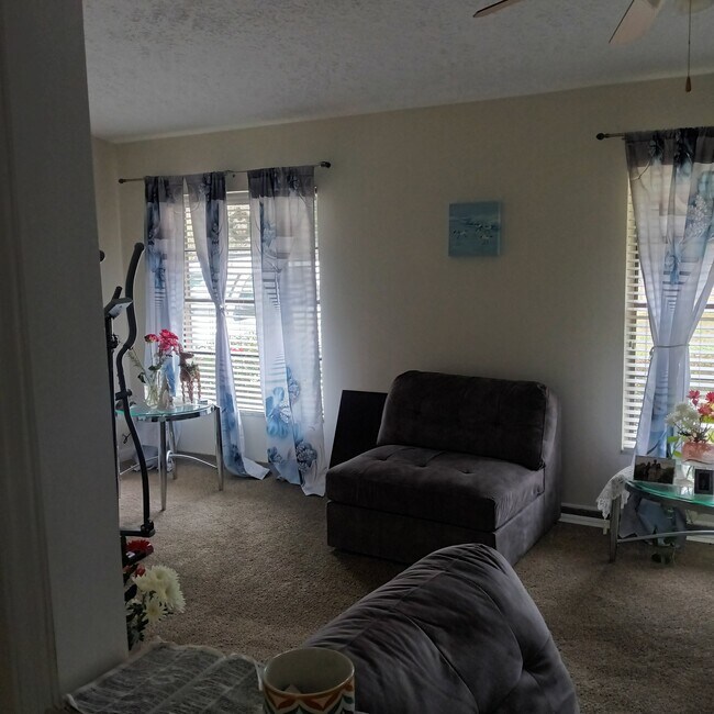 Photo - 320 Tangerine St