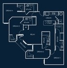 D2