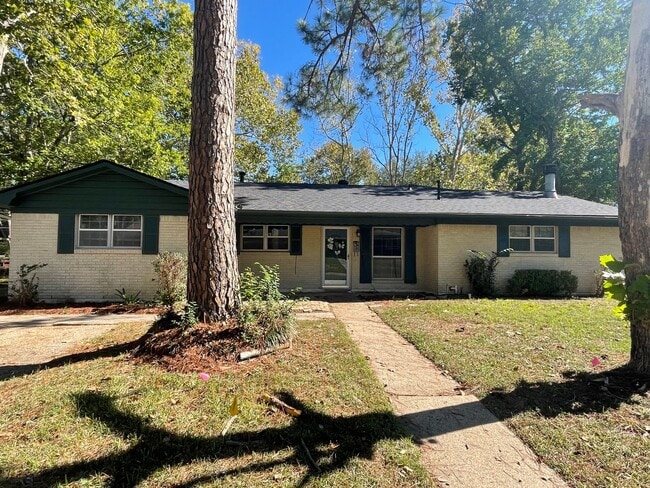 Building Photo - Large 4 Bedroom Home in Southern Hills