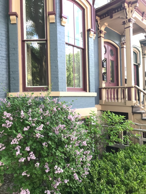 Photo - 156 Circular St