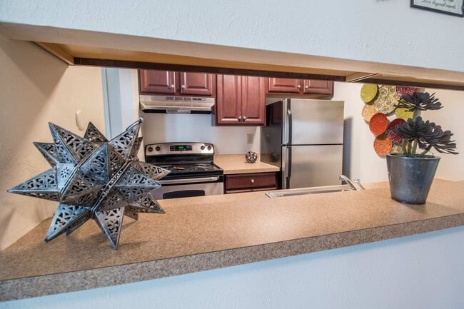 Photo - Forest Creek