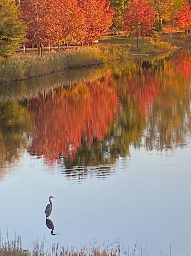 Photo - 76 Sweetfern Ct Unidad 76