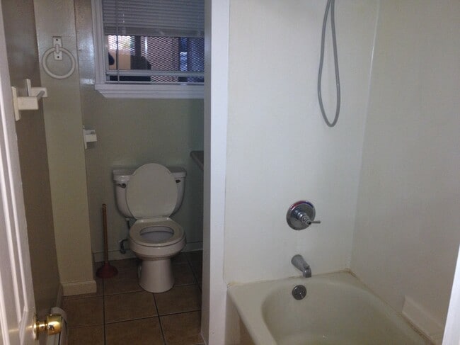 Photo - 386 Madison Ave Unit Garden Level