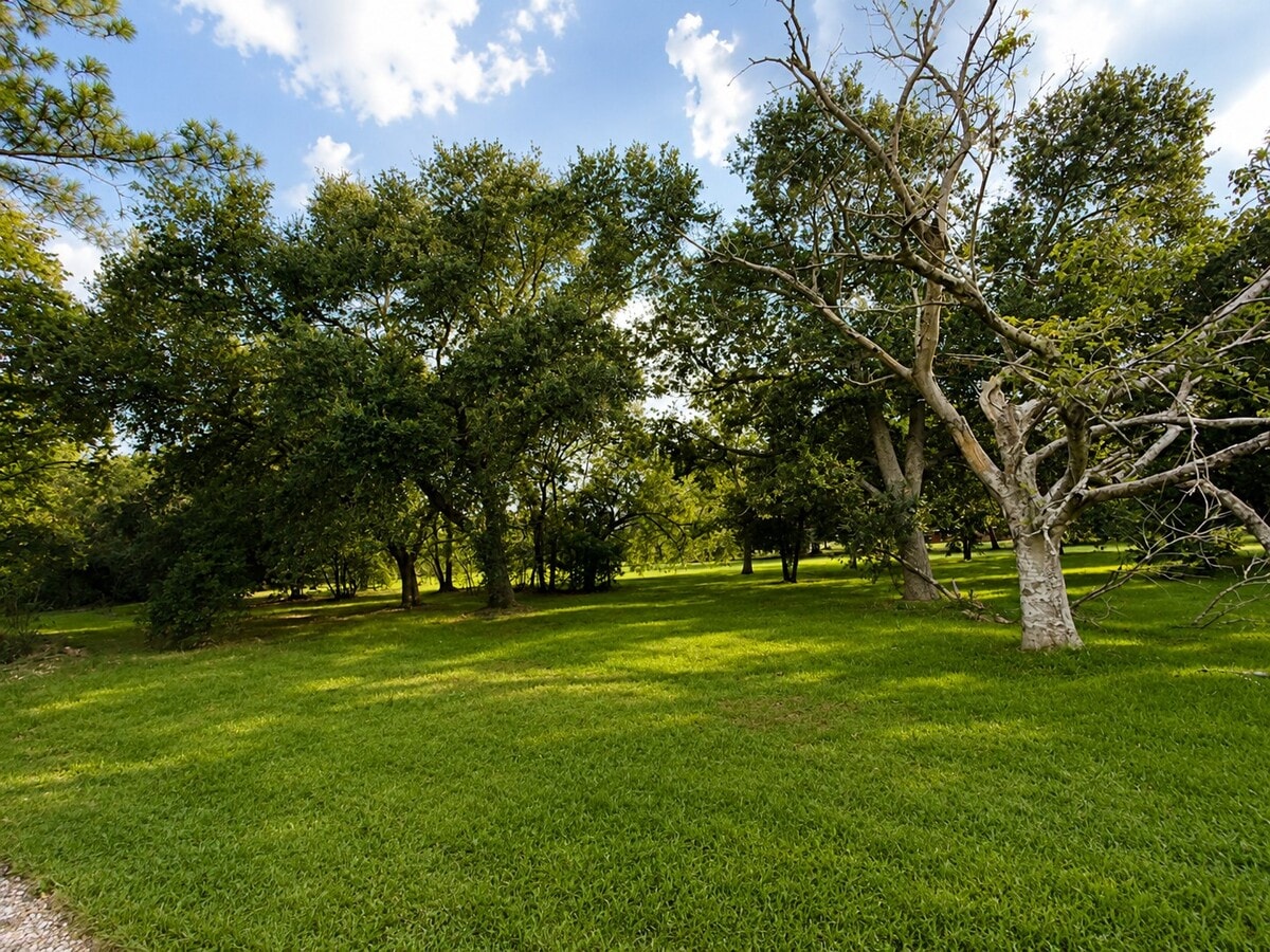 Photo - 2245 County Rd 130