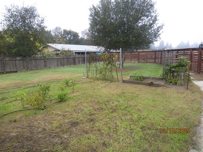 Photo - Very Rare 2 Bedroom House on a large lot with separate bonus unit!