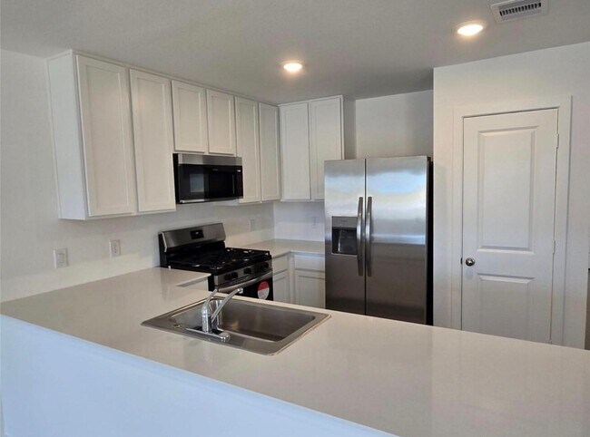 Photo - 26918 Dalmatian Bellflower Dr