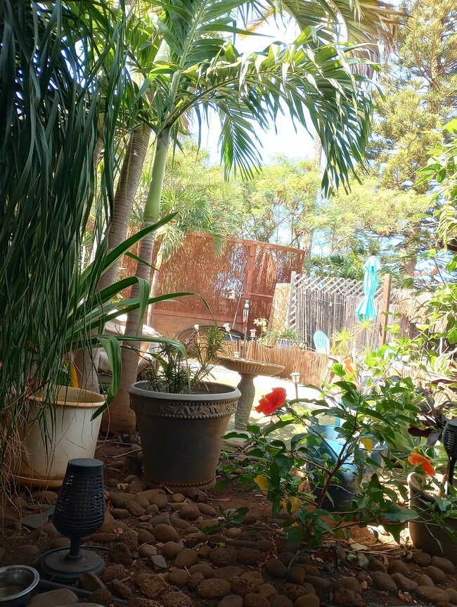 View looking out your front door-Tropical Oasis