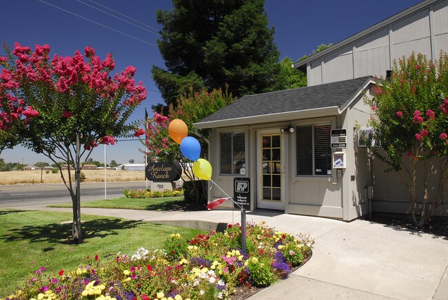 Photo - Antelope Ranch