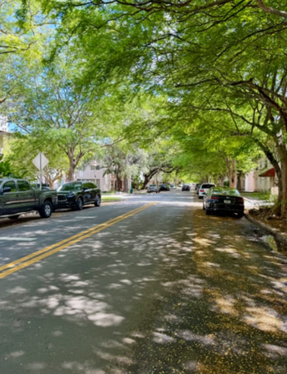 Photo - 1014 Salzedo St