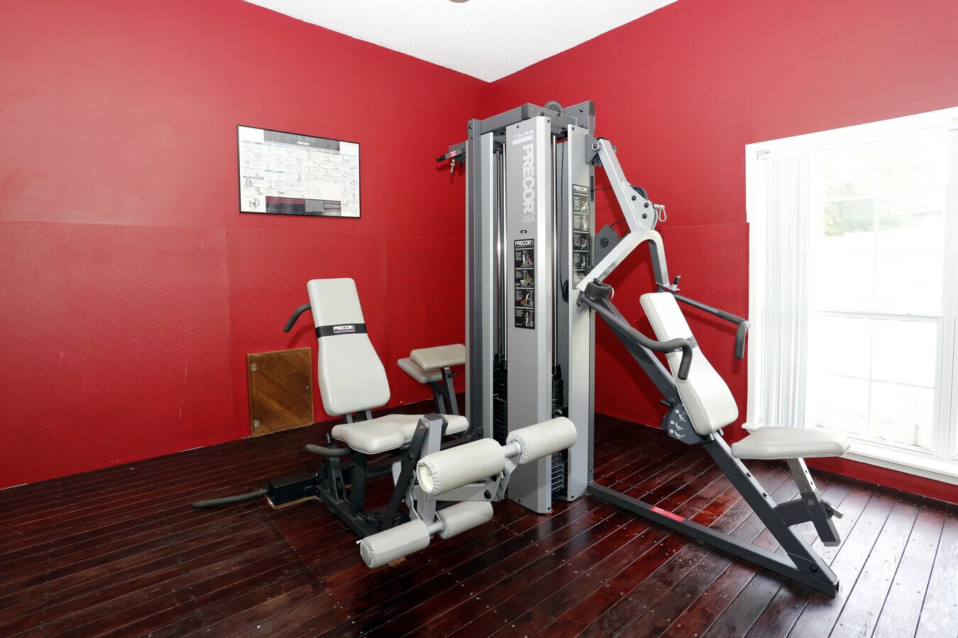 Photo - Pines on the Bay