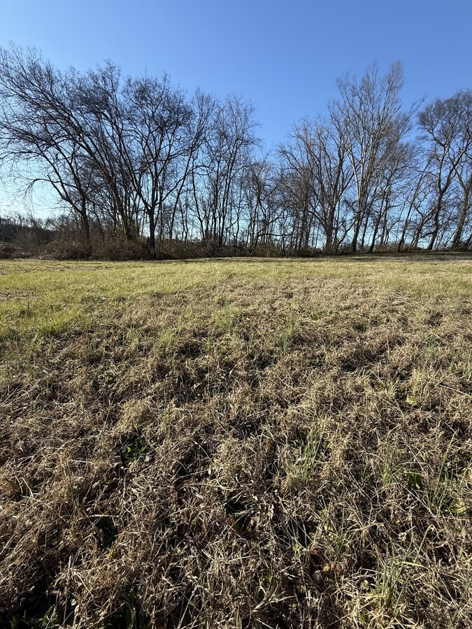 Photo - 445 Southport Rd