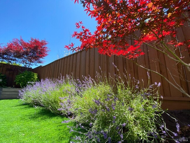 Photo - 873 Saratoga Dr