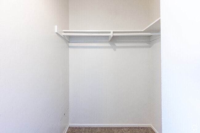 1BR, 1BA - 595SF - Closet